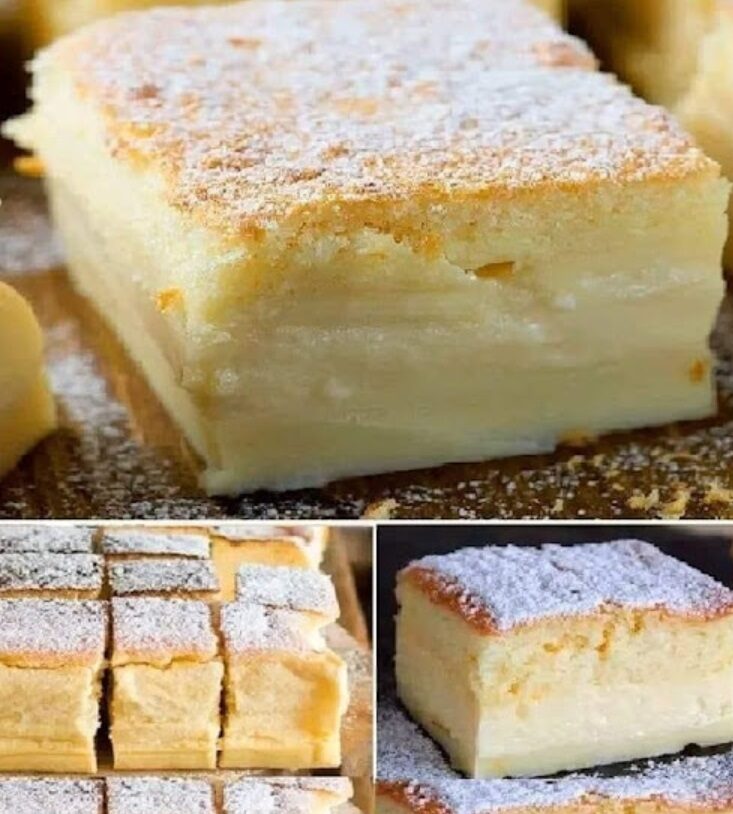 Magic Custard Cake Recipe !!