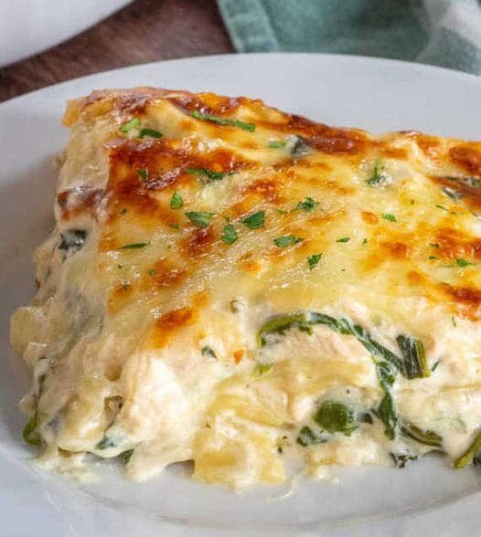 CHICKEN ALFREDO LASAGNA