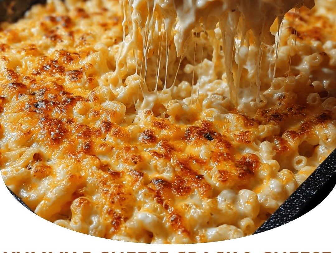 Protein Yummy 5 Cheese Crack & Cheese
