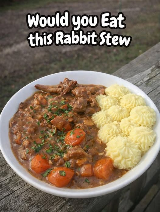 Rabbit Stew