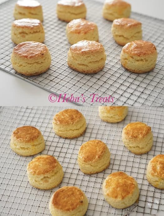Plain Scones