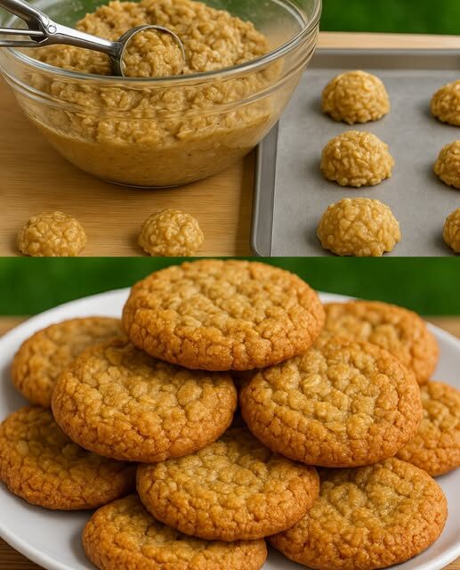 Soft Peanut Butter Oatmeal Cookies