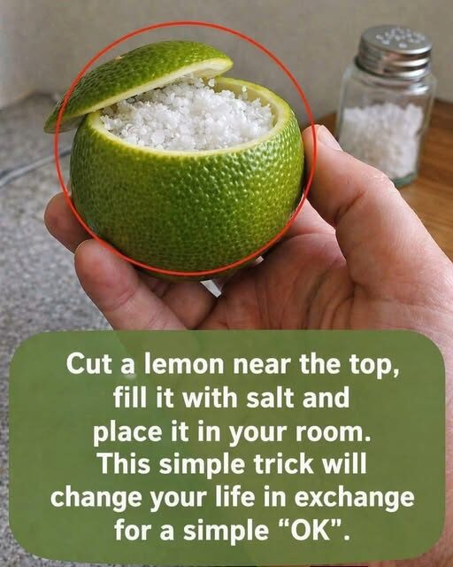 Lemon and Salt Room Freshener: A Natural Home Remedy for Clean Air