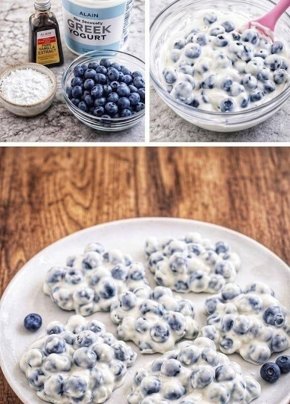 Blueberry Yogurt Bites