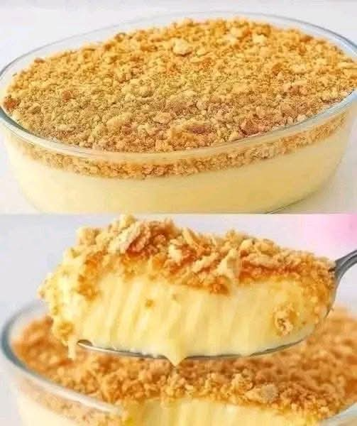 Creamy Vanilla Biscuit Pudding